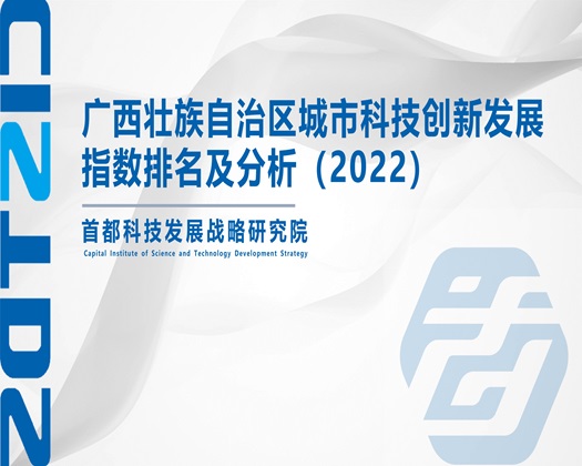 啊啊啊啊哈操死我吧啊啊啊啊啊视频【成果发布】广西壮族自治区城市科技创新发展指数排名及分析（2022）